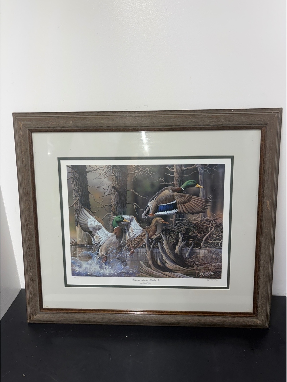 Framed 'Beaver Pond Mallards' Wildlife Print by Harold Roe - Ducks Unlimited